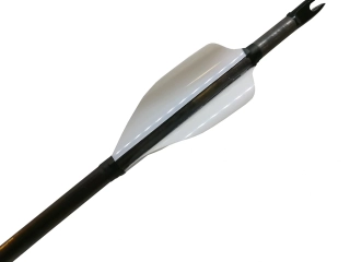 XS-WINGS 50 mm High